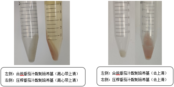 維生素檢測(cè)國標(biāo)法本底污染的原因分析 維生素檢測(cè)國標(biāo)法本底污染的原因分析